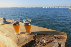 Craft Brewery Tour San Diego